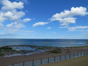 IMG_1980