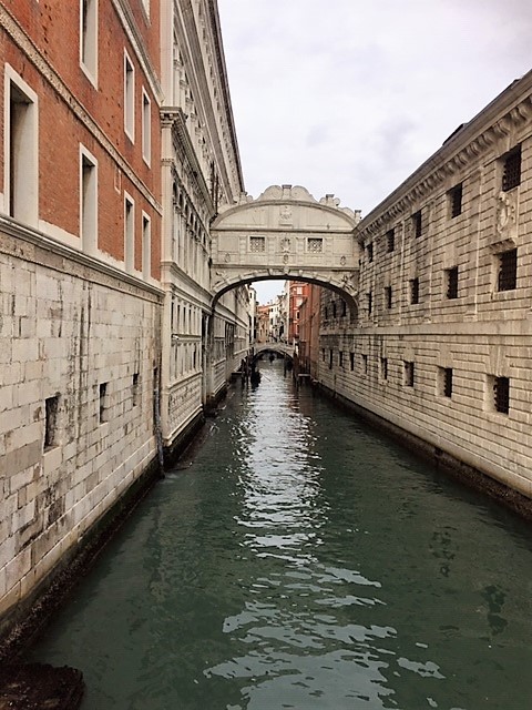 Venice in a day
