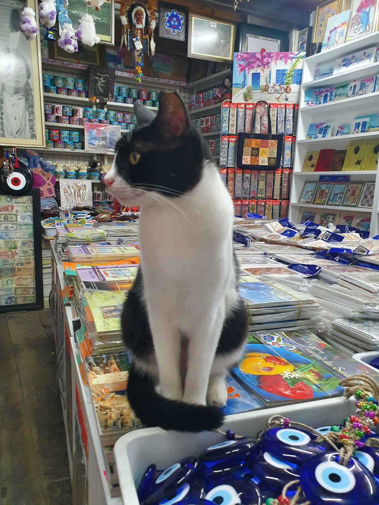 Kalkan cat kalkan town