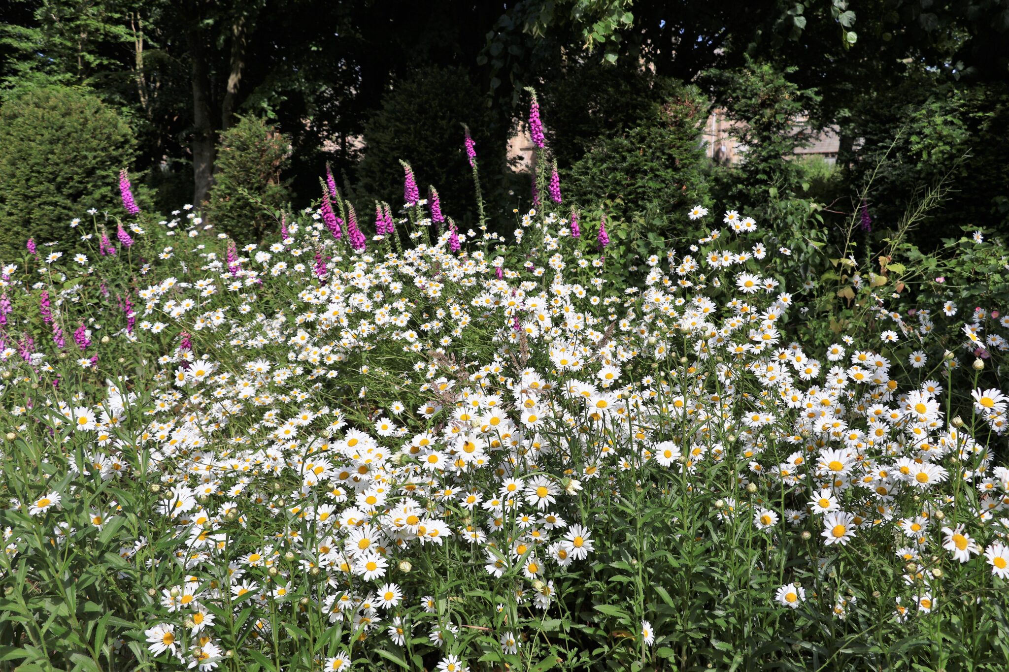 Ushaw Hall gardens Ushae Hall gardens