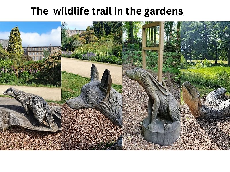 Wildlife trail at Ushaw Hall and Gardens Ushaw hall