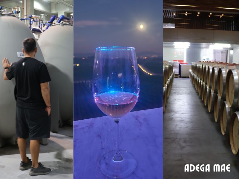 Lisboa wines