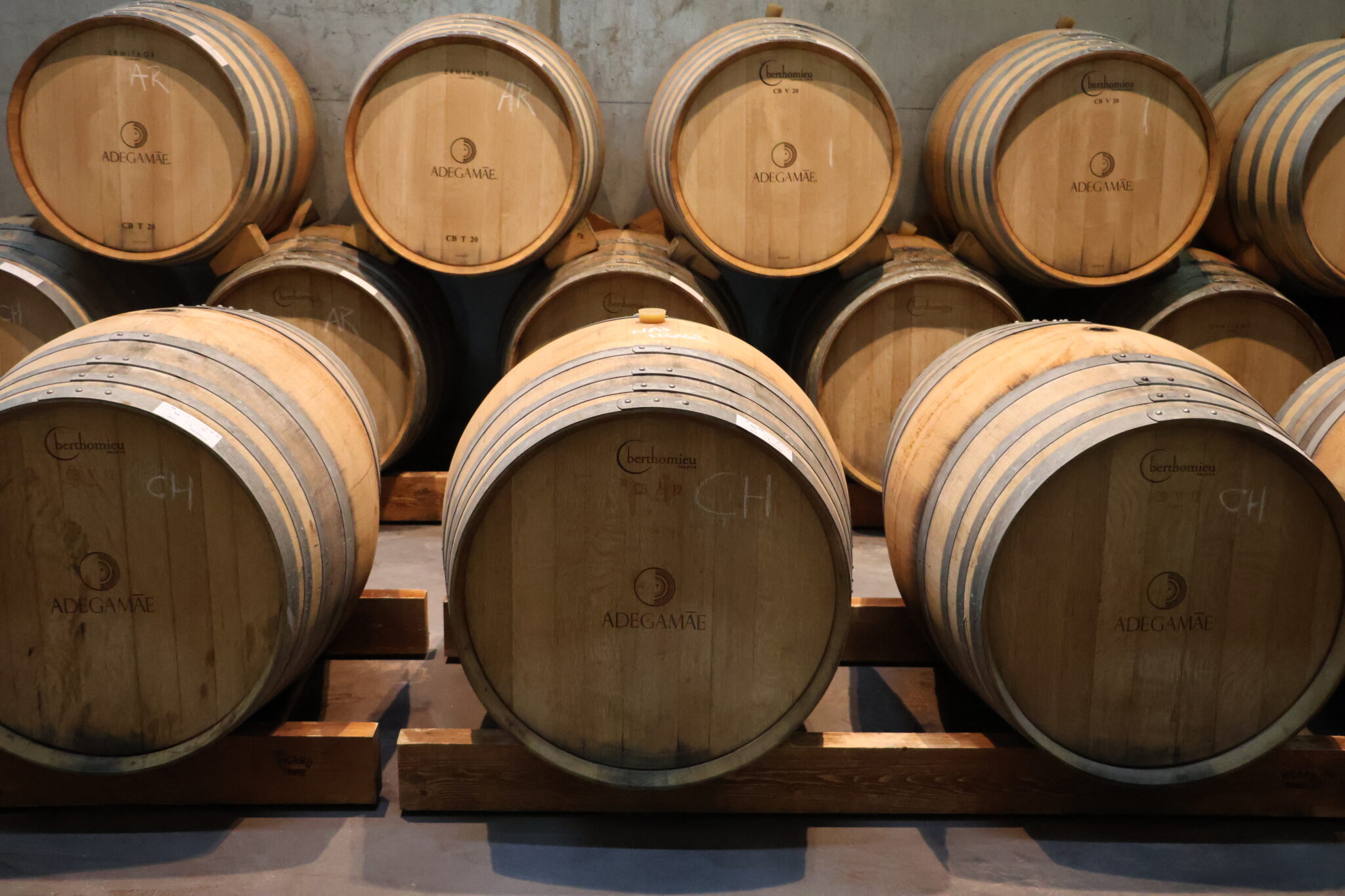 Lisbon wines
