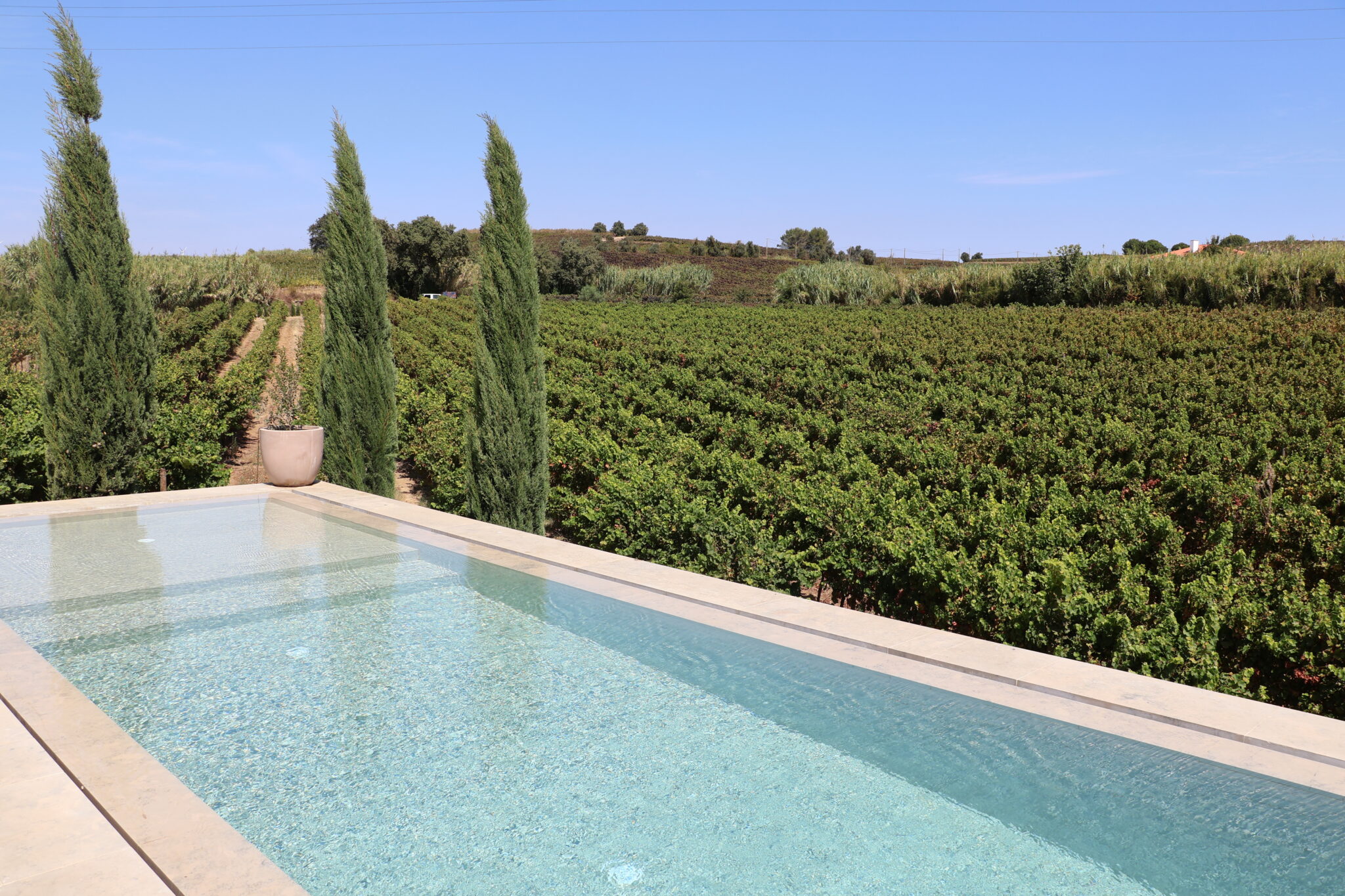 Lisbon winery