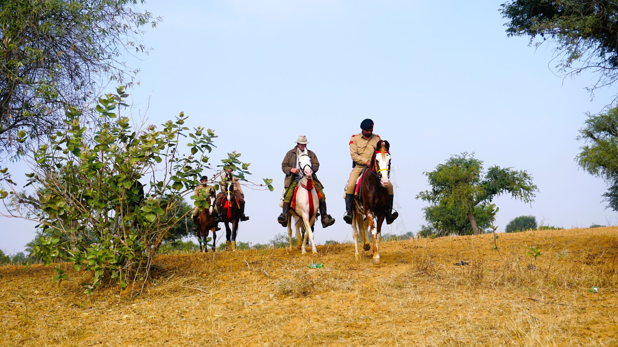 Horse safari