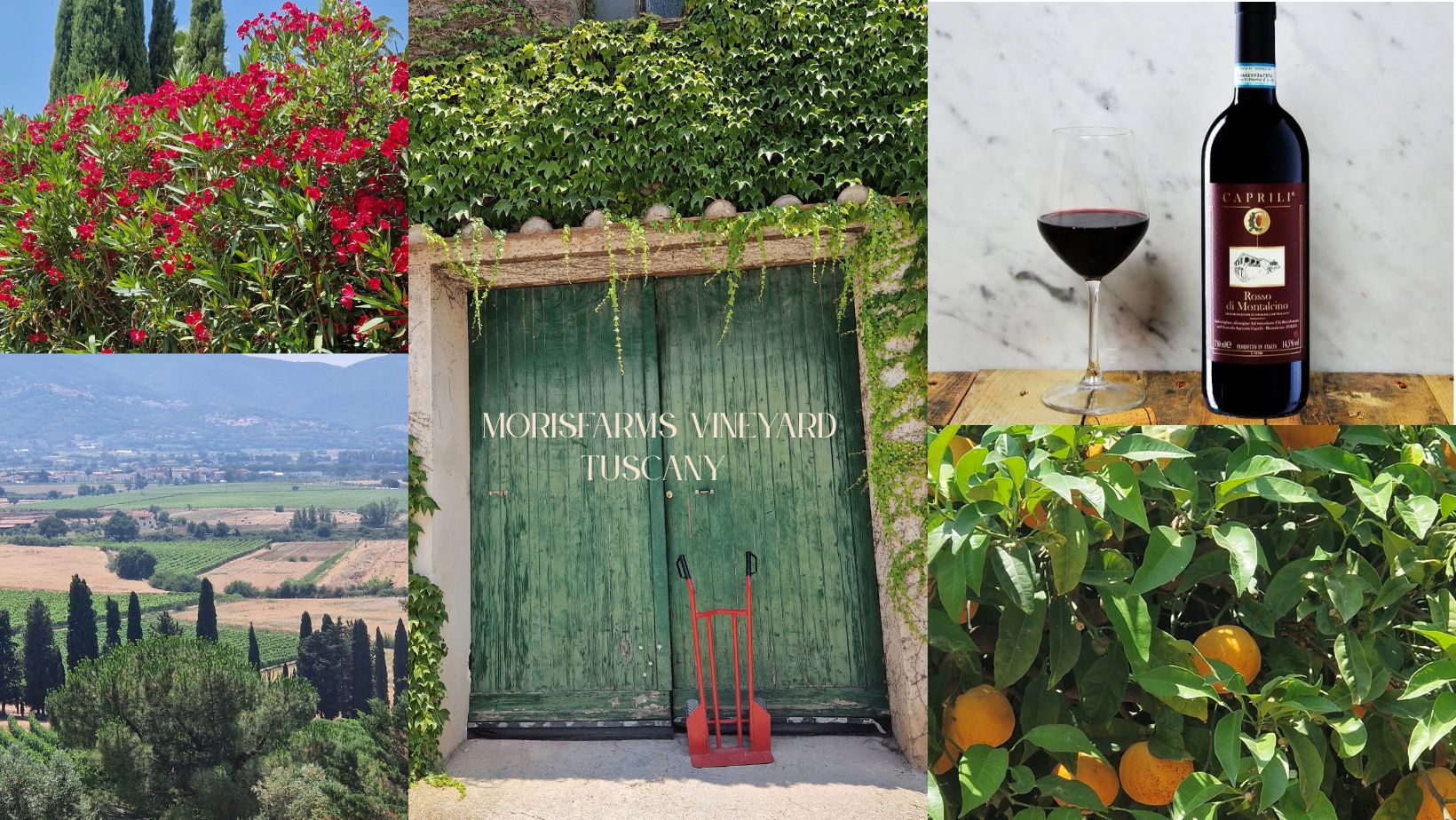 Tuscany wine