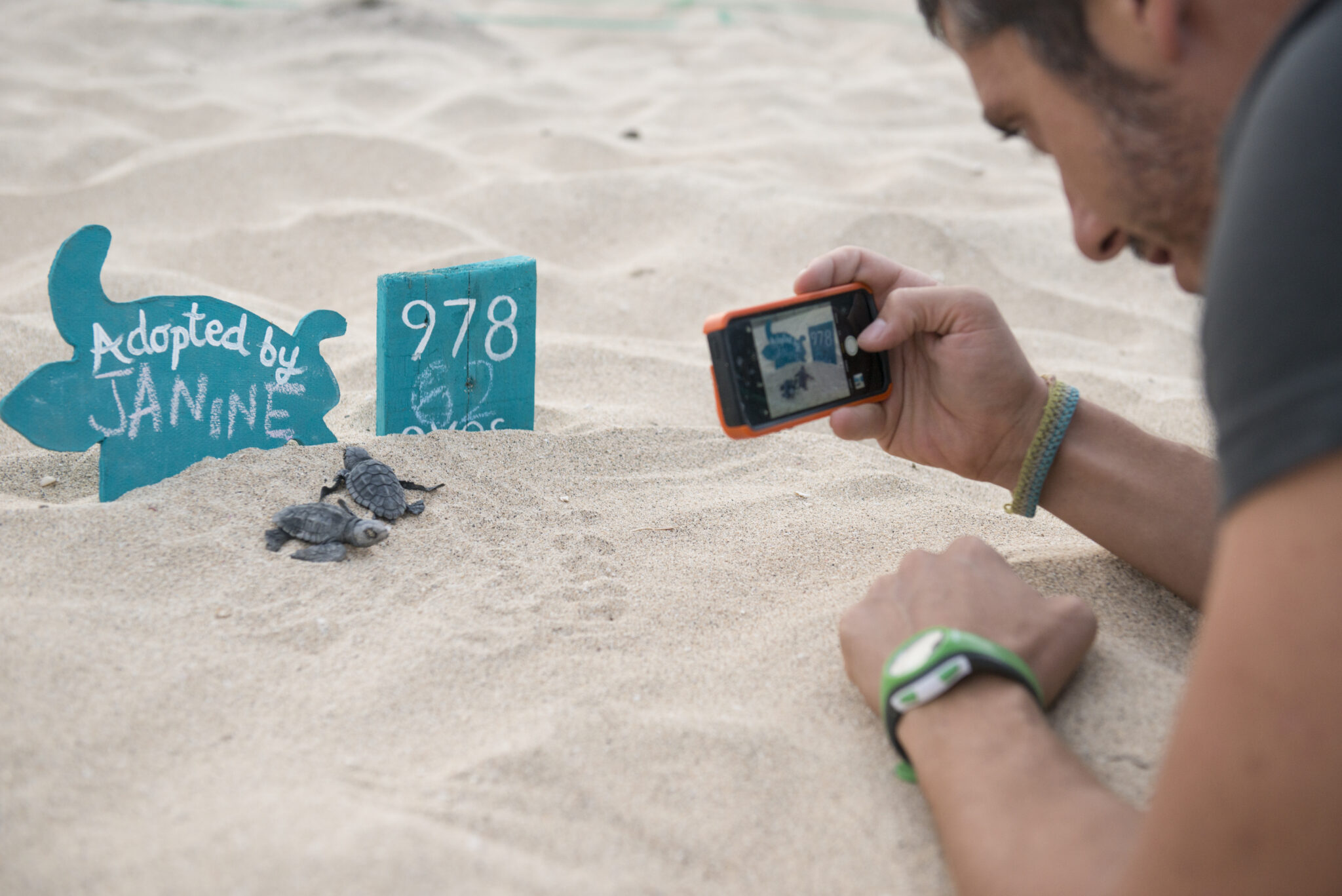 TUI Turtle Aid Cabo Verde hatchery Cape Verde
