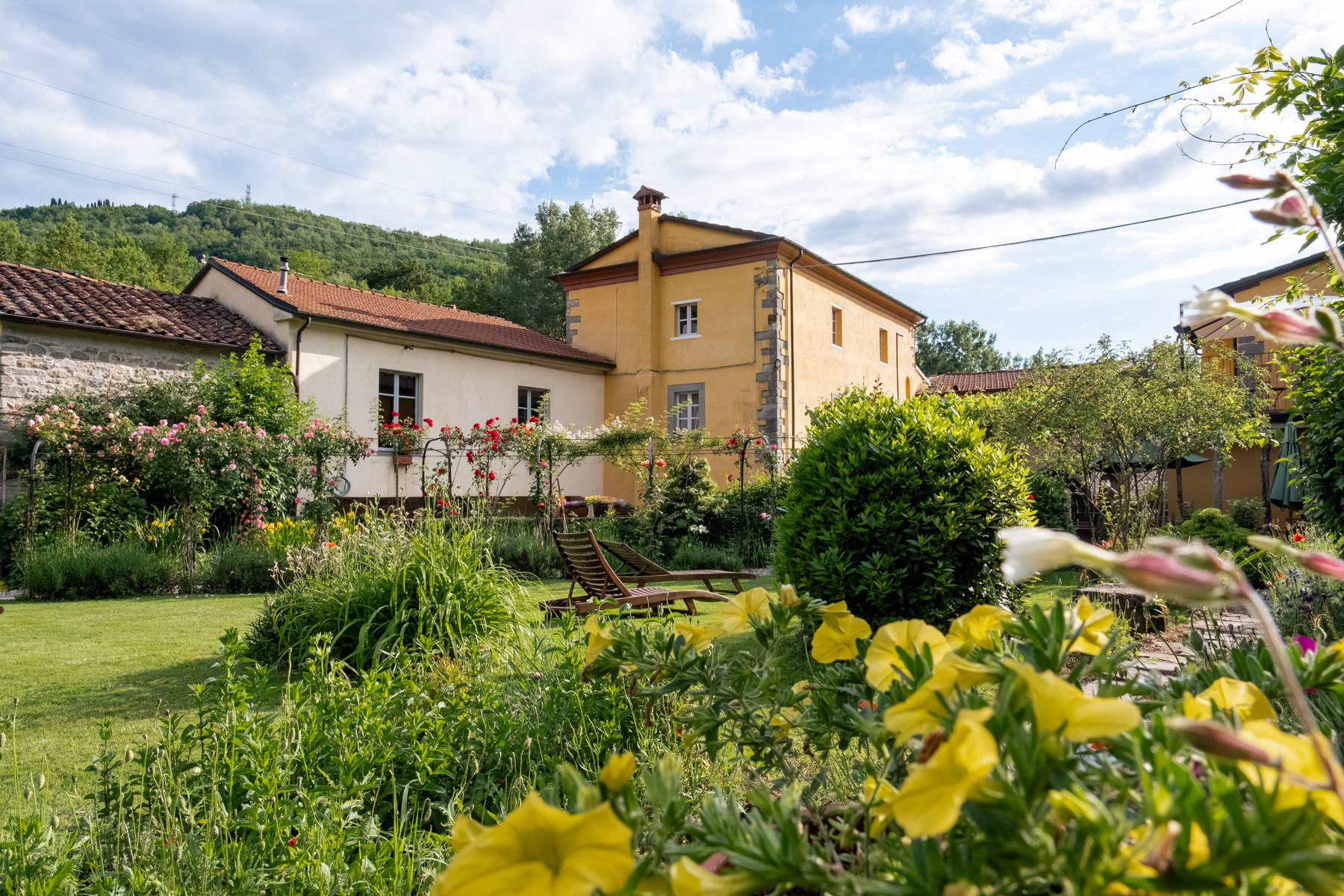 Watermill_May24_Exterior-8